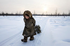 Russia provincia dello Yamal un bimbo aiuta a raccogliere legna da ardere