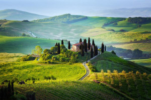 Toscana-agricoltura incontaminata